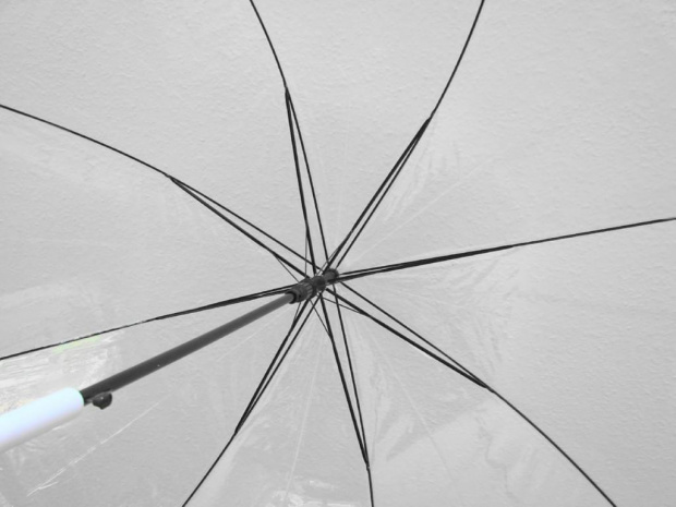 parasol przezroczysty transparentny